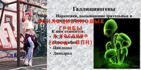 меф Елизово