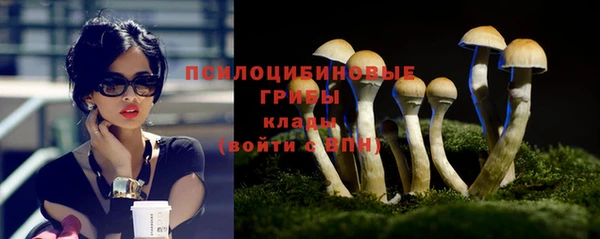меф Елизово