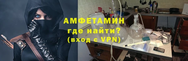 твердый Ельня