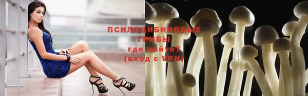 ГАЛЛЮЦИНОГЕННЫЕ ГРИБЫ Тихвин