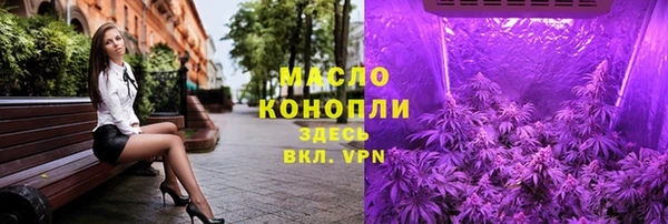 твердый Ельня