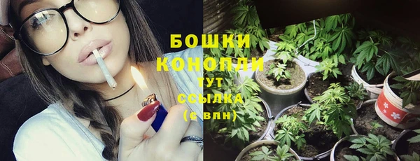 твердый Ельня
