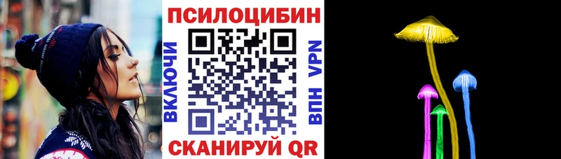 Галлюциногенные грибы Psilocybe  Купить  Мегион 